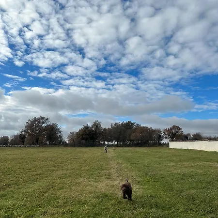 Villa Balun In - 3 Bedrooms - Pool - Garden - Sauna Orihi